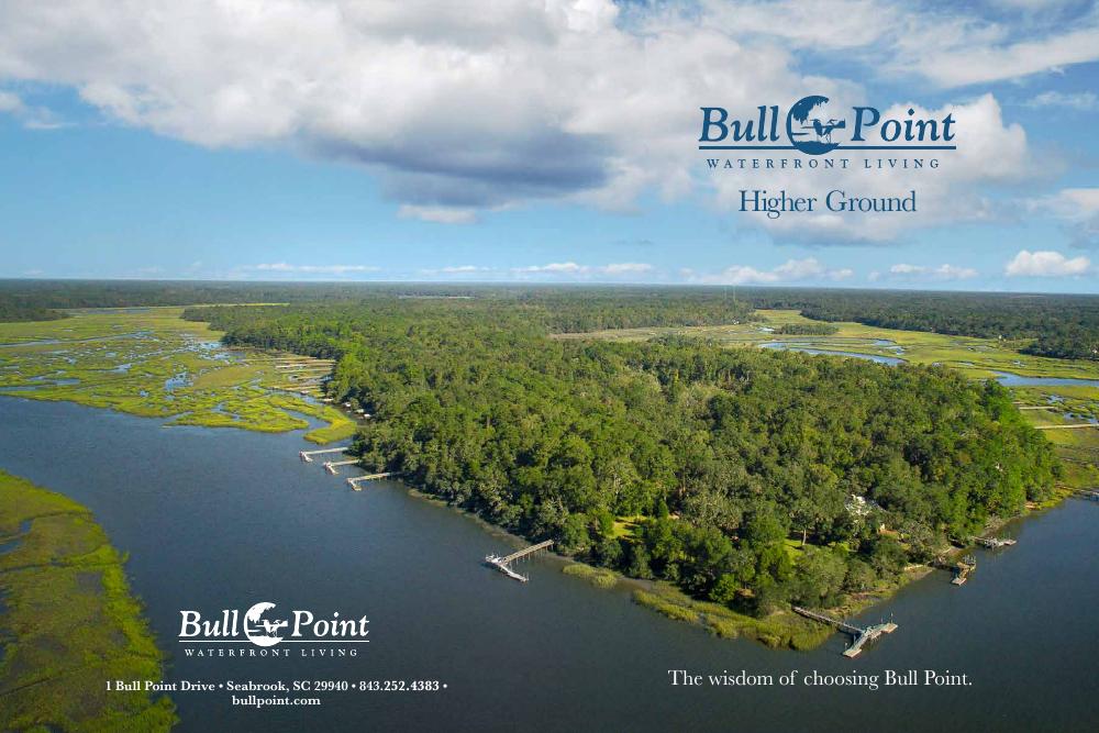 Bull Point development book cover