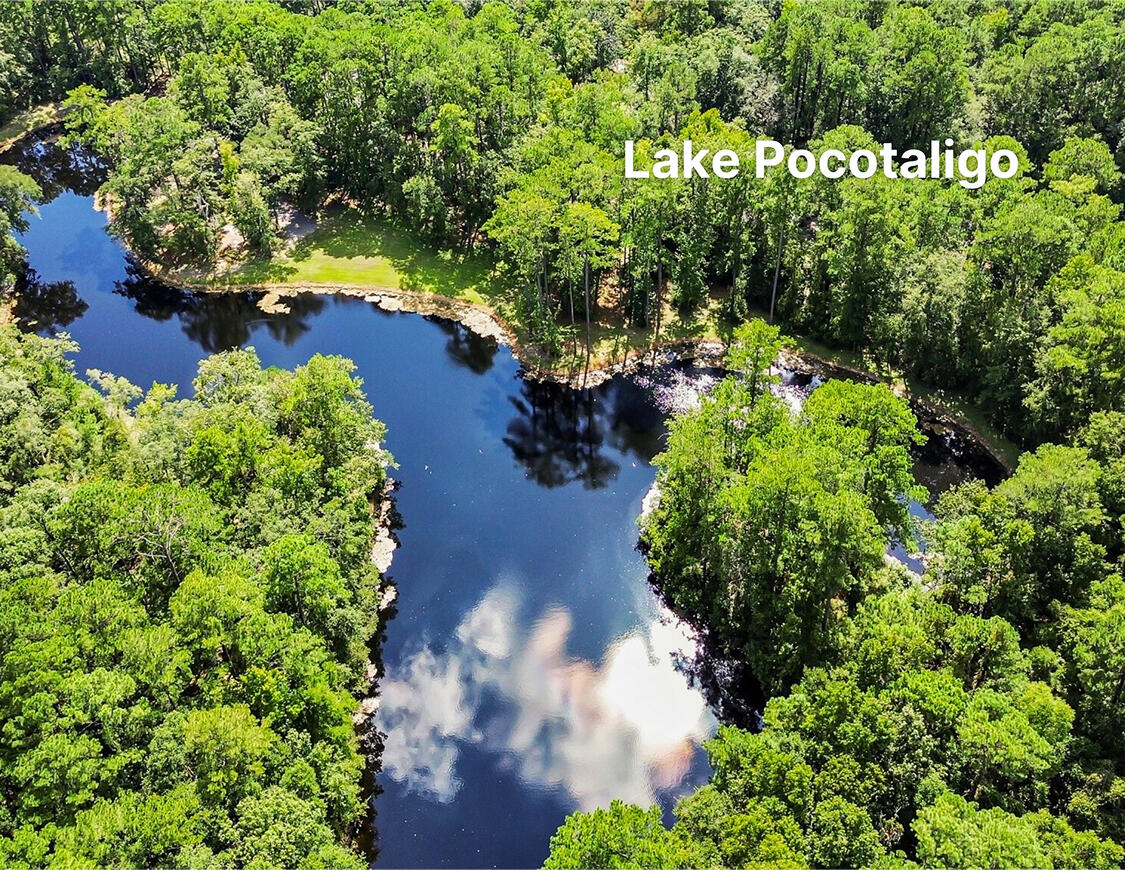 Lake Pocotaligo — aerial view