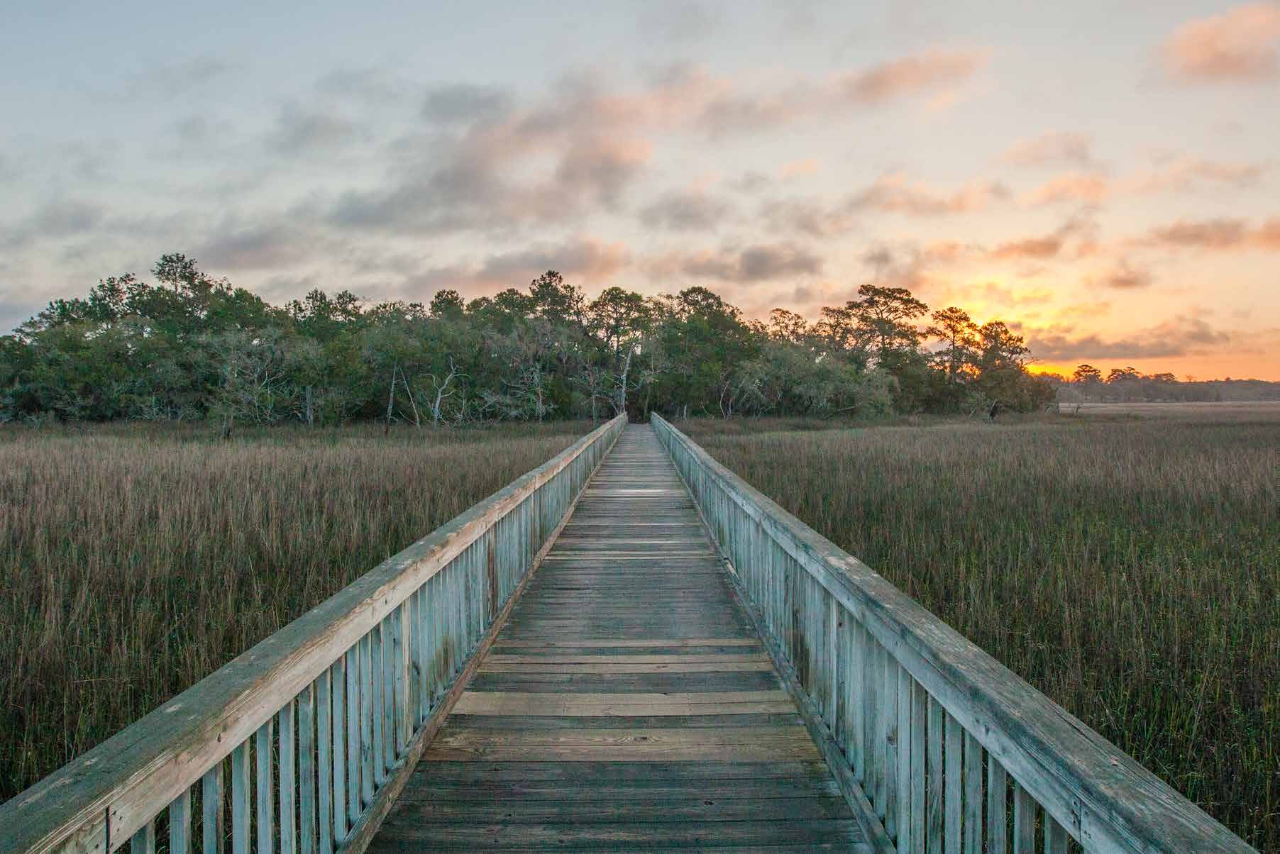 Marsh boardwalk at sunset — from the community book