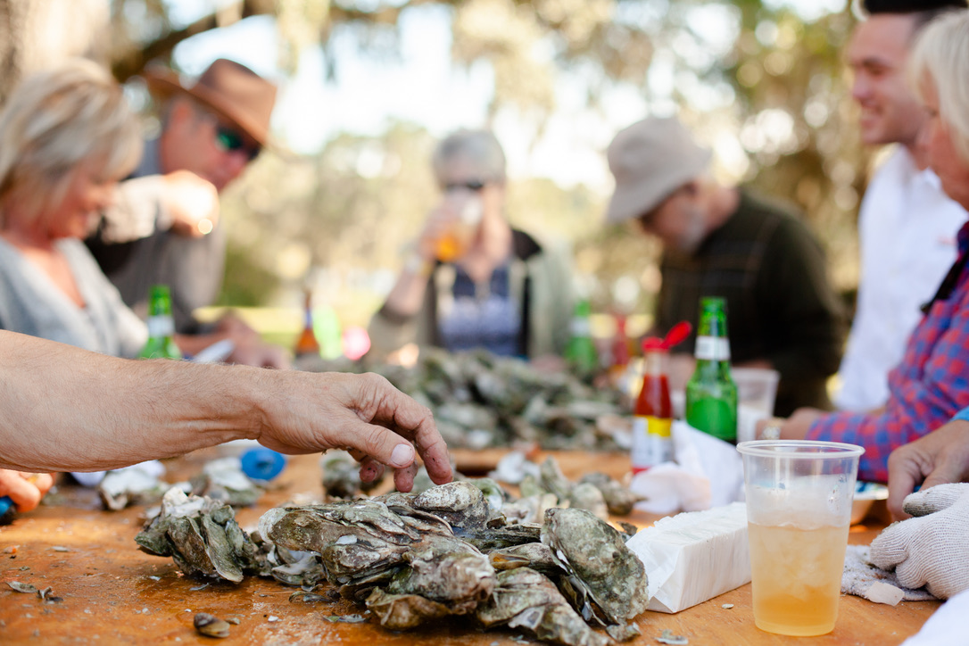 A Lowcountry oyster roast