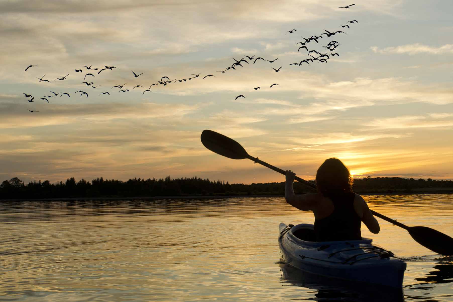 Kayaking at sunset — from the Bull Point community book