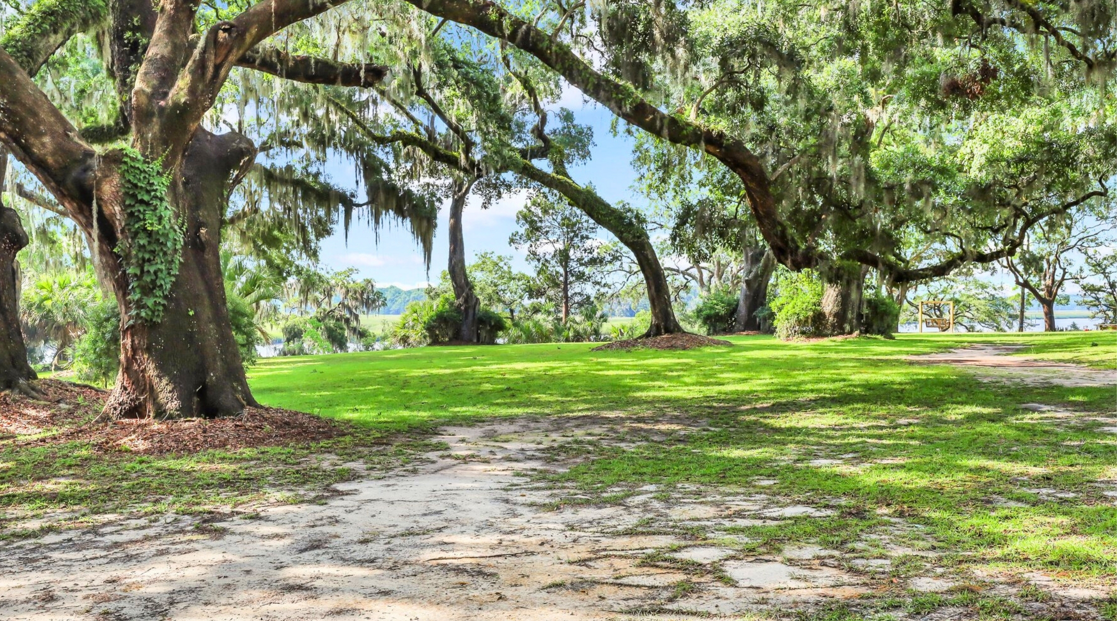William Bull Park